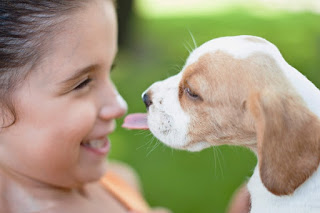 La Terapia Con Animales Para El Autismo Te Ayudará